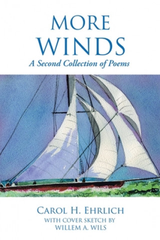 Boek More Winds Willem A. Wils