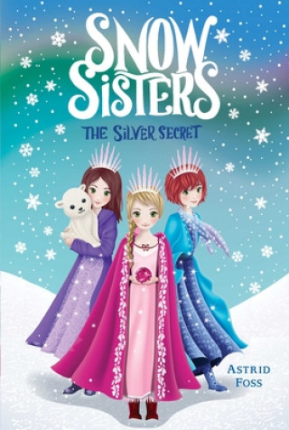 Buch The Silver Secret Monique Dong