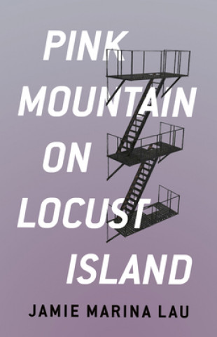 Kniha Pink Mountain on Locust Island 