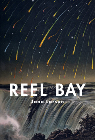Kniha Reel Bay Jana Larson