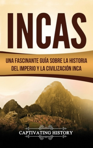 Carte Incas 