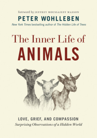 Kniha The Inner Life of Animals: Love, Grief, and Compassion--Surprising Observations of a Hidden World Jeffrey Moussaieff Masson