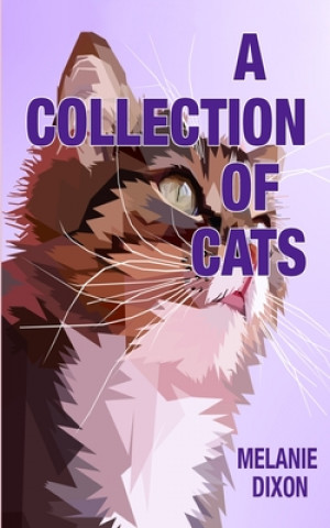 Książka A Collection of Cats: Wonderful cat stories for everyone. Stories about clever kittens, magical cats, rescue cats, and just cats. Fun cat st 