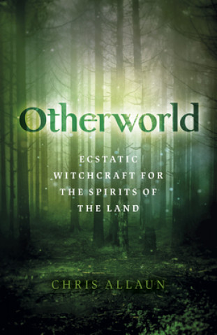Kniha Otherworld 