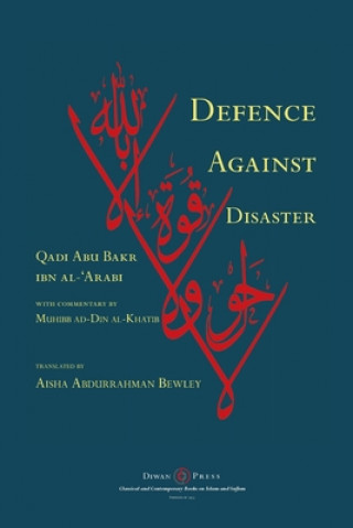 Könyv Defence Against Disaster 