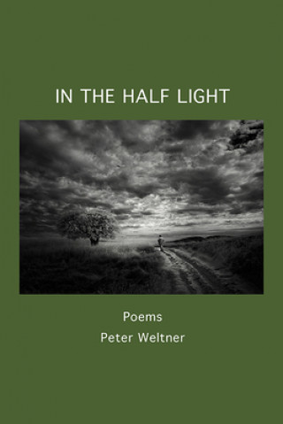 Kniha In the Half Light 