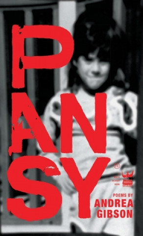 Kniha Pansy 