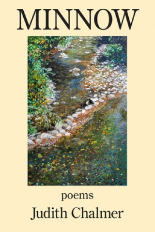 Book Minnow Judith Chalmer