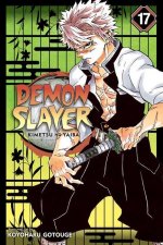 Carte Demon Slayer: Kimetsu no Yaiba, Vol. 17 Koyoharu Gotouge