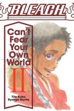 Könyv Bleach: Can't Fear Your Own World, Vol. 2 Tite Kubo