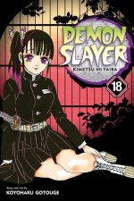 Könyv Demon Slayer: Kimetsu no Yaiba, Vol. 18 Koyoharu Gotouge