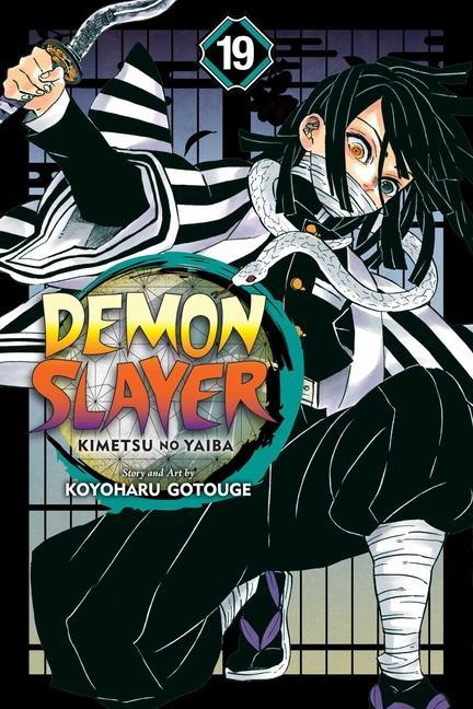 Könyv Demon Slayer: Kimetsu no Yaiba, Vol. 19 Koyoharu Gotouge