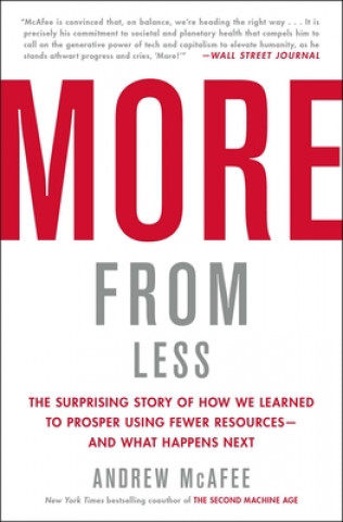 Carte More from Less: The Surprising Story of How We Learned to Prosper Using Fewer Resources--And What Happens Next 