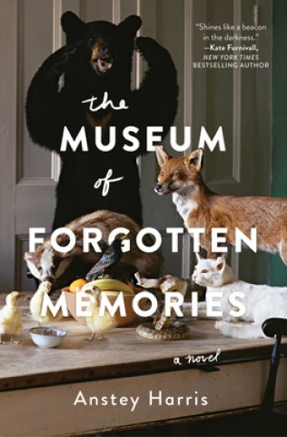 Boek The Museum of Forgotten Memories Anstey Harris