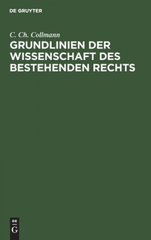 Knjiga Grundlinien Der Wissenschaft Des Bestehenden Rechts 