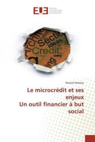 Boek microcredit et ses enjeux Un outil financier a but social Vincent Voineau