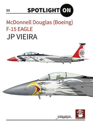Carte Mcdonnell Douglas (Boeing) F-15 Eagle 