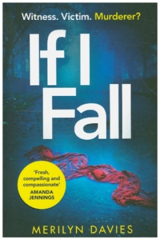 Book If I Fall Merilyn Davies