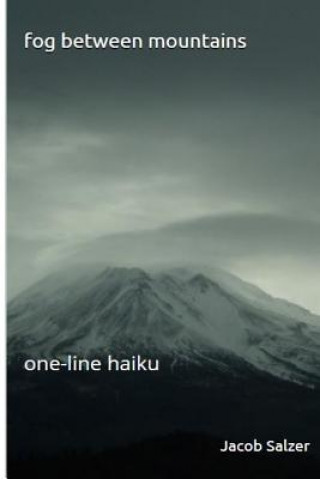 Kniha fog between mountains: monoku Jacob Salzer