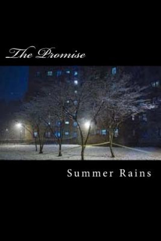 Книга The Promise Summer Rains