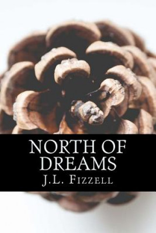 Boek North of Dreams J L Fizzell