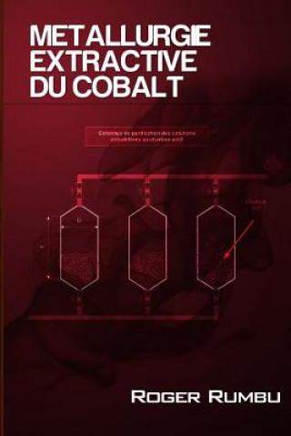 Kniha Metallurgie Extractive du Cobalt - 3eme Ed Roger Rumbu