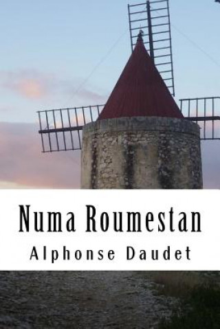 Kniha Numa Roumestan Alphonse Daudet