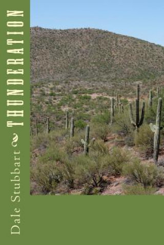 Libro Thunderation Dale Stubbart