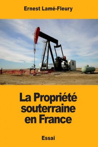 Книга La Propriété souterraine en France Ernest Lame-Fleury