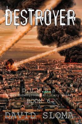 Kniha Destroyer David Sloma