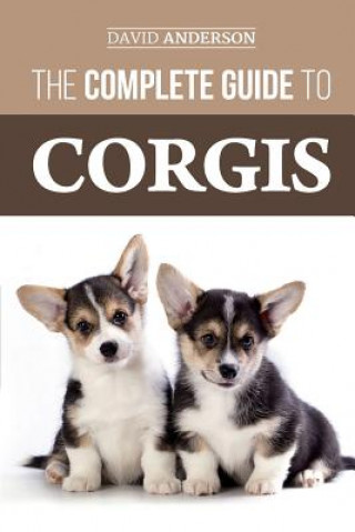 Kniha Complete Guide to Corgis David Anderson