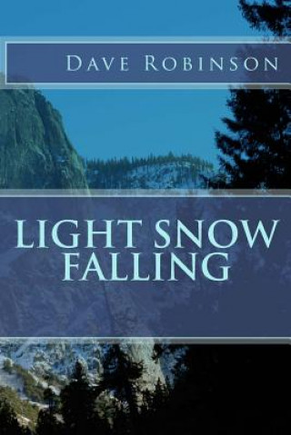 Buch Light Snow Falling Dave Robinson