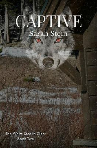 Book Captive Sarah Stein