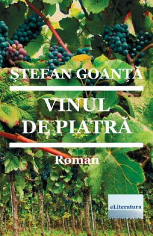 Carte Vinul de Piatra: Roman Stefan Goanta