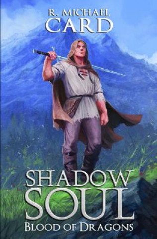 Knjiga Shadow Soul R Michael Card