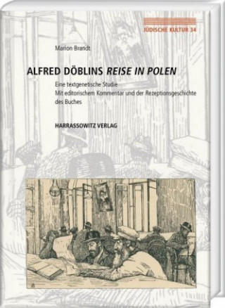 Kniha Alfred Döblins Reise in Polen 