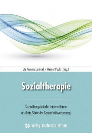 Książka Sozialtherapie Helmut Pauls