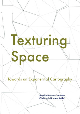 Kniha Texturing Space Erin Manning
