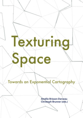 Könyv Texturing Space Erin Manning