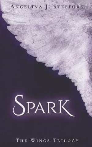 Buch Spark Angelina J Steffort