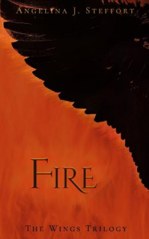 Книга Fire Angelina J Steffort