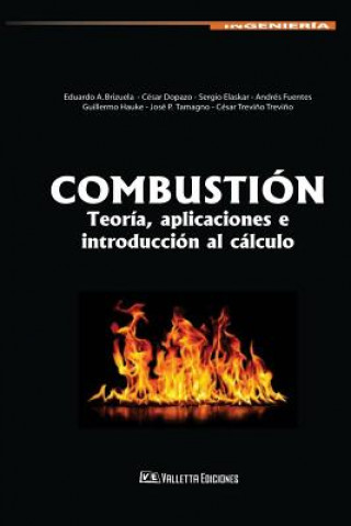 Kniha Combustión: Teoría, aplicaciones e introducción al cálculo Brizuela
