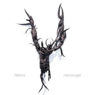 Audio Necroscape Tetema