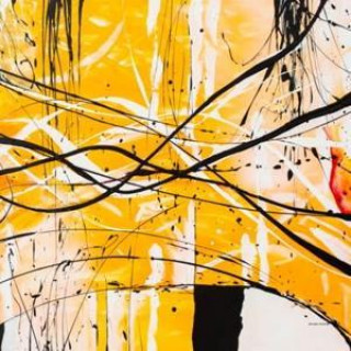 Audio  Pu: Ville Herrala