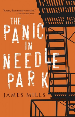 Kniha Panic in Needle Park James Mills
