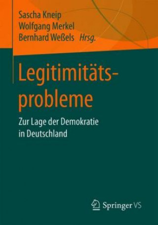 Buch Legitimitatsprobleme Sascha Kneip