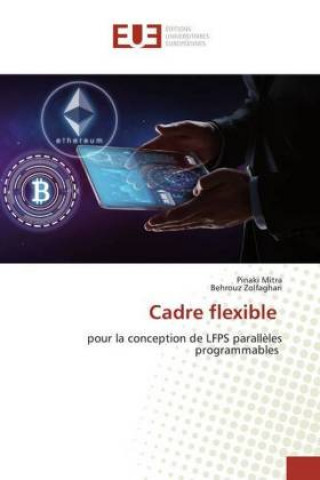 Buch Cadre flexible Behrouz Zolfaghari