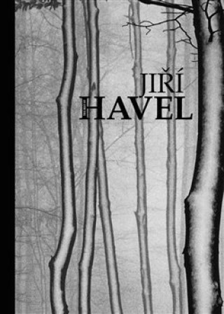 Kniha The Best of Jiří Havel Jiří Havel