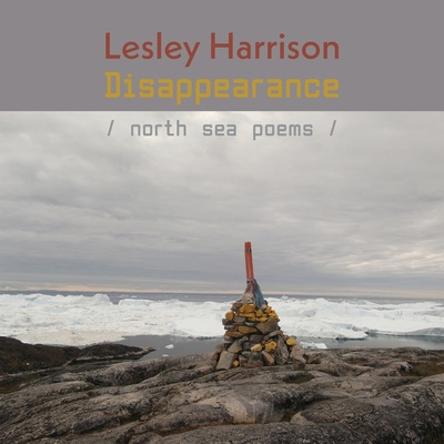 Knjiga Disappearance Lesley Harrison
