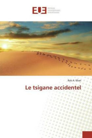 Livro Le tsigane accidentel Rais A. Khan